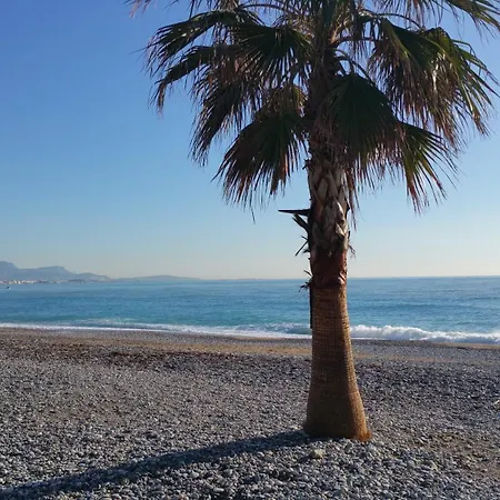 Cap Azur 215 וילנב-לובה